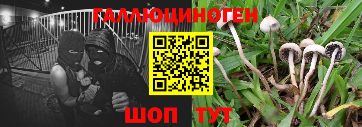 Галлюциногенные грибы прущие грибы Пыть-Ях